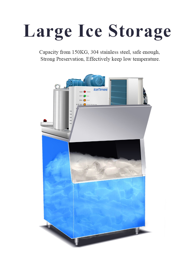 p6.jpg
